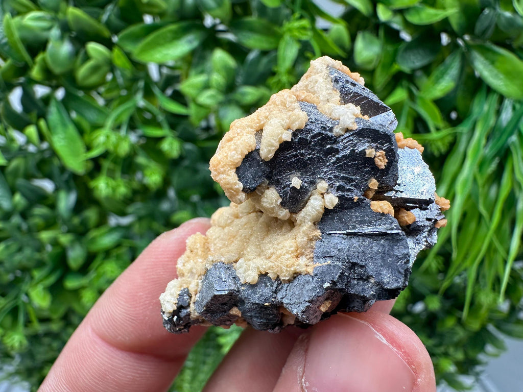 Skeletal Galena with Siderite & Sphalerite - Krushev dol Mine, Bulgaria