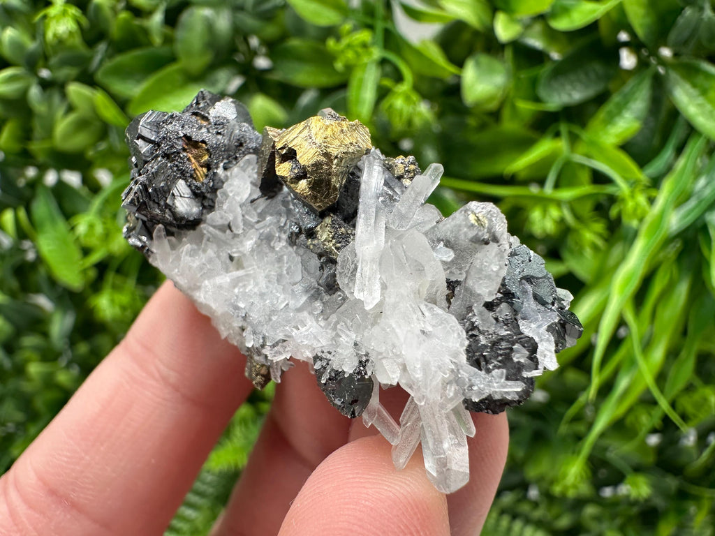 Wonderful Sphalerite Chalcopyrite on  Quartz whit Galena feom 9 th September mine,Bulgaria,natural,collection mineral specimen,gift