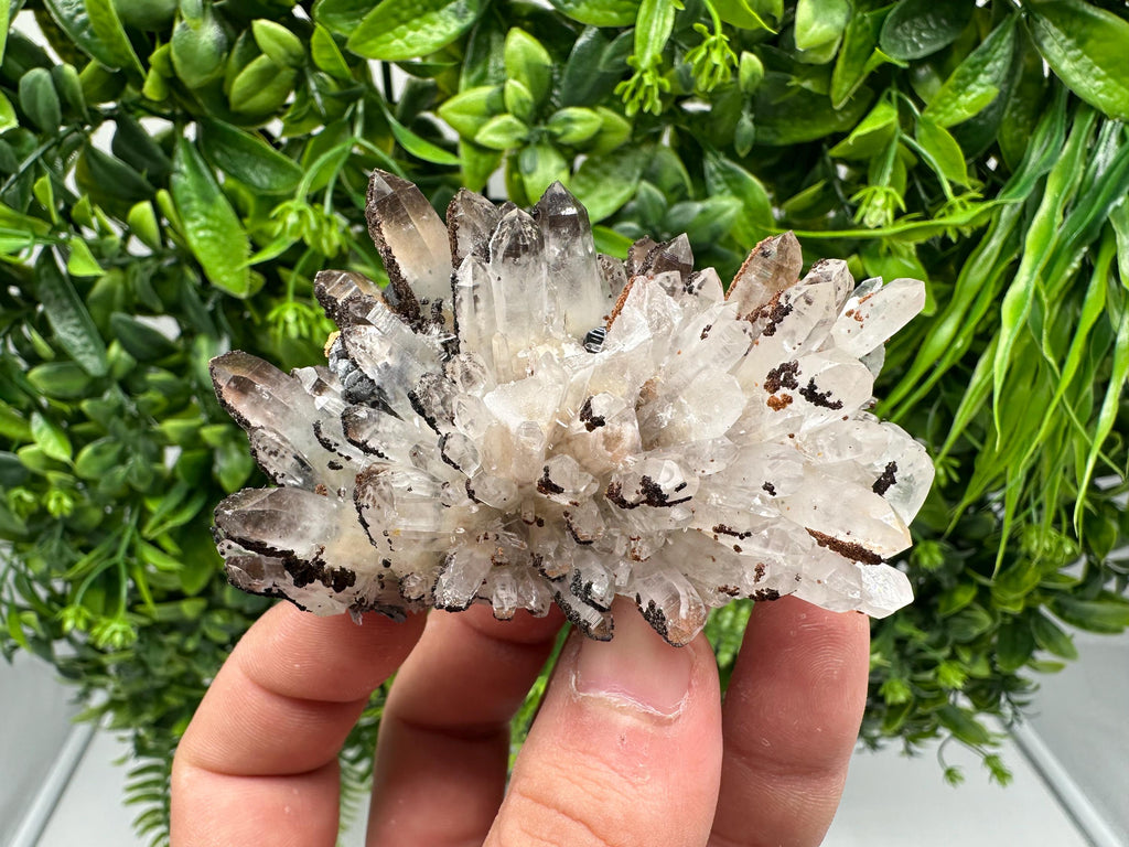 Wonderful Sphalerite Chalcopyrite on  Quartz whit Hematite feom 9 th September mine,Bulgaria,natural,collection mineral specimen,gift