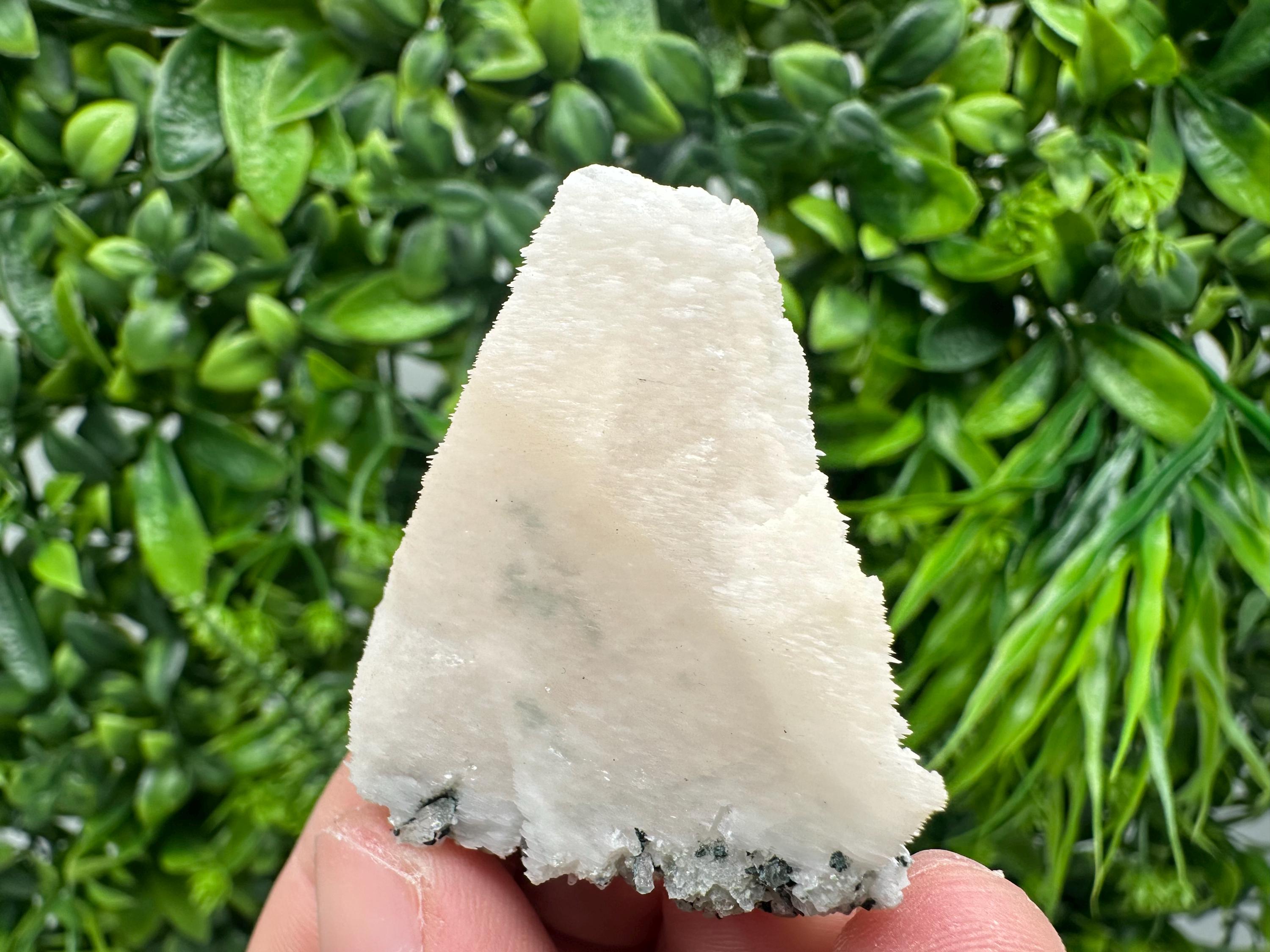 Mangano Calcite with Galena, Borieva Mine Mineral Specimen