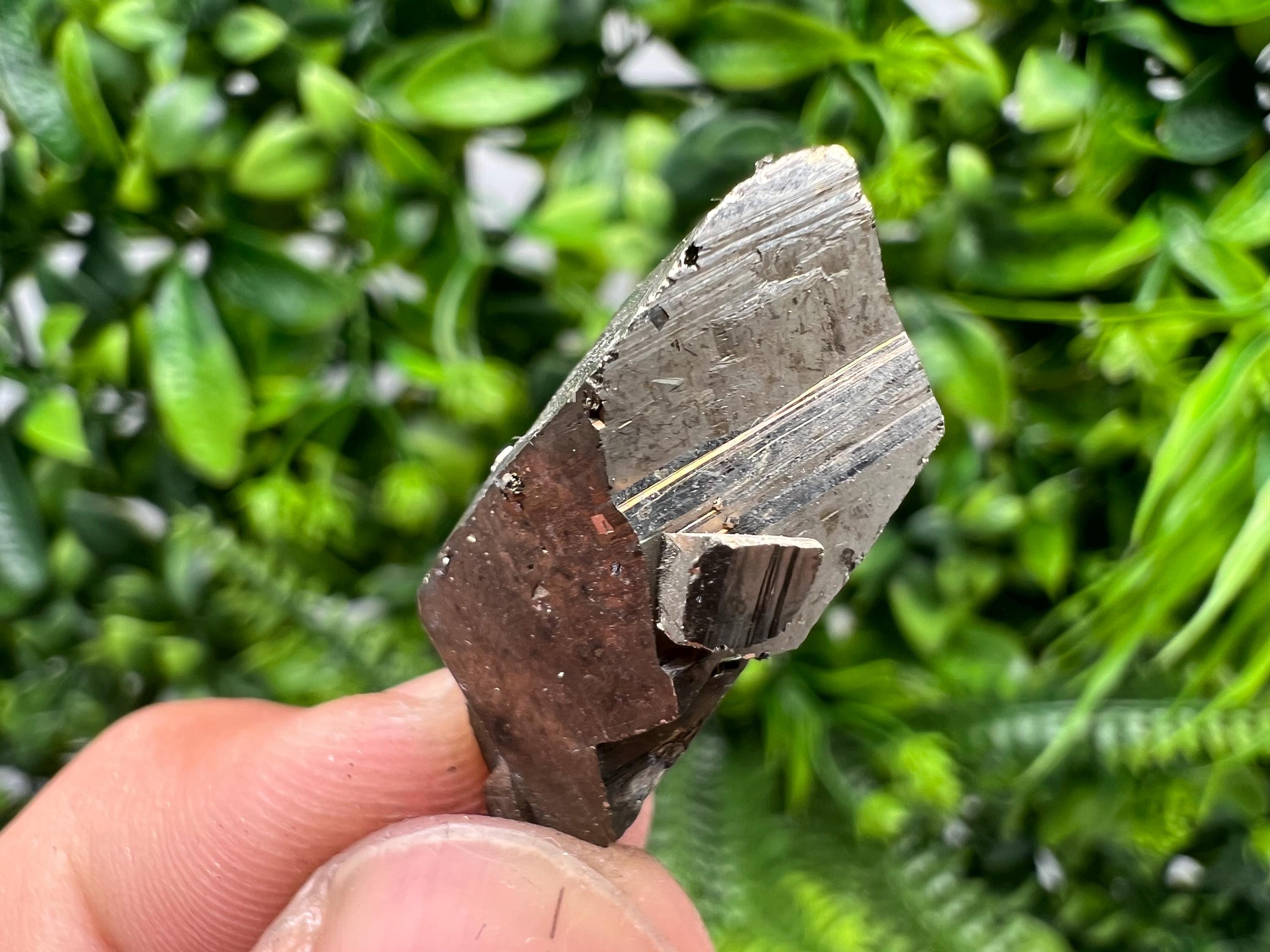 Rare Pyrite Crystal Specimen: Borieva Mine, Bulgaria