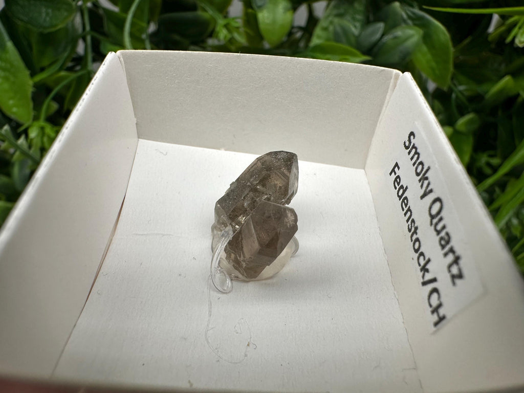 Rare Fedenstock Smoky Quartz Mineral Specimen (17 MM)