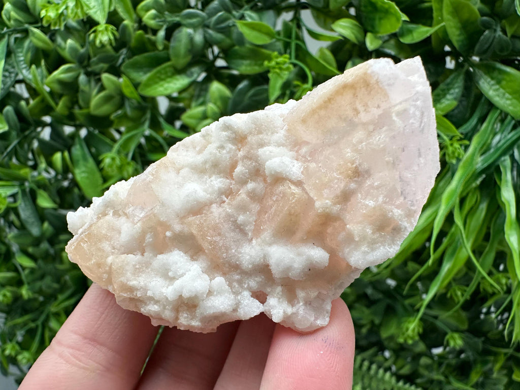Mangano Calcite with Galena, Borieva Mine, Bulgaria