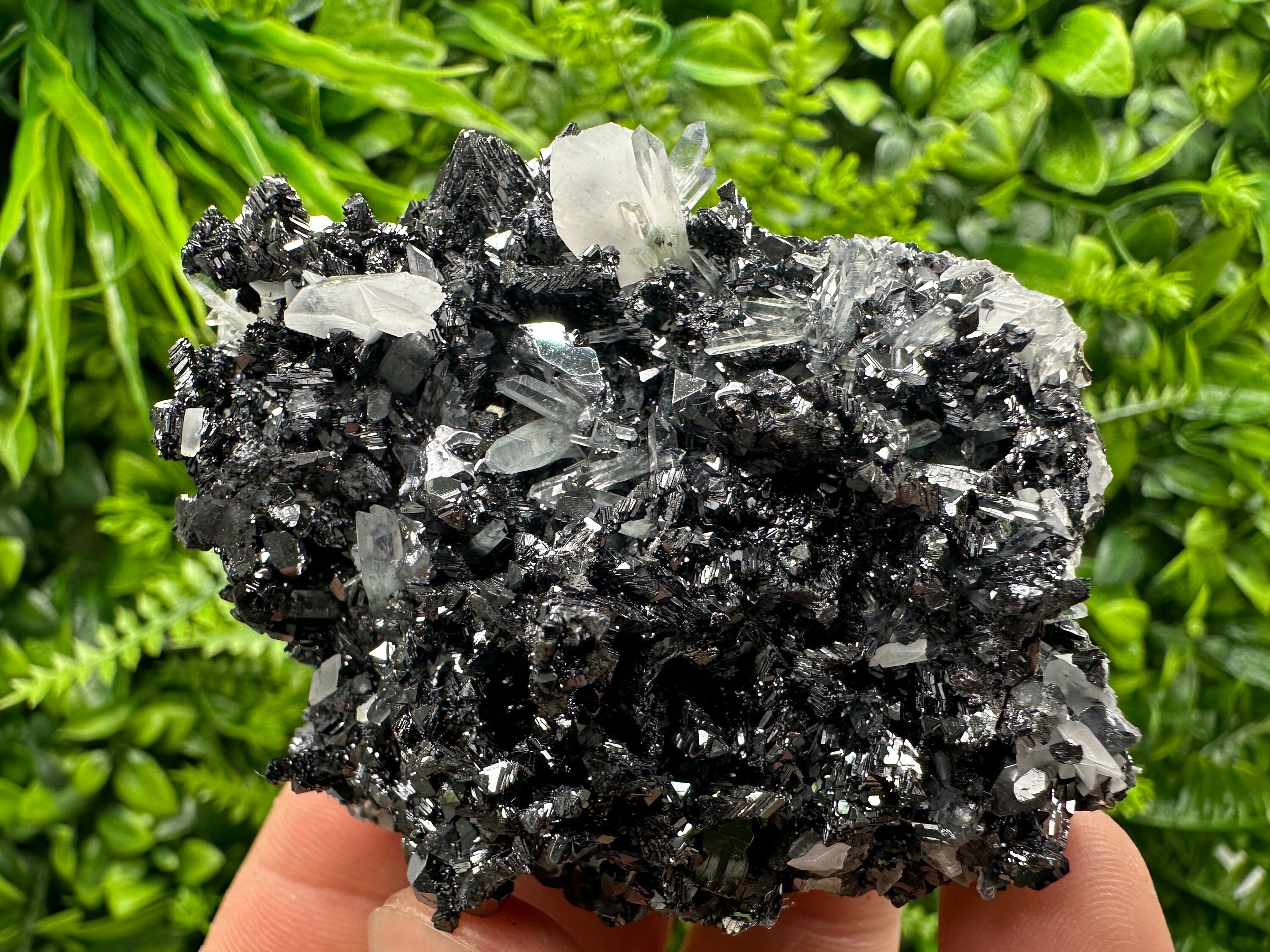 Pyrite Calcite on Sphalerite with Quartz, Bulgaria Mineral Specimen