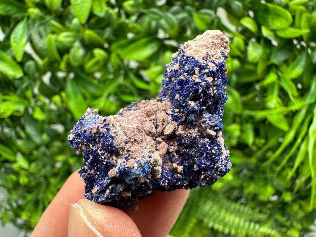 Crystallized Azurite-Kerrouchen,Morocco-Blue Azurite Specimen-High Quality Blue Azurite-Azurite Mineral Specimen, gemmy,lustrous of Azurite