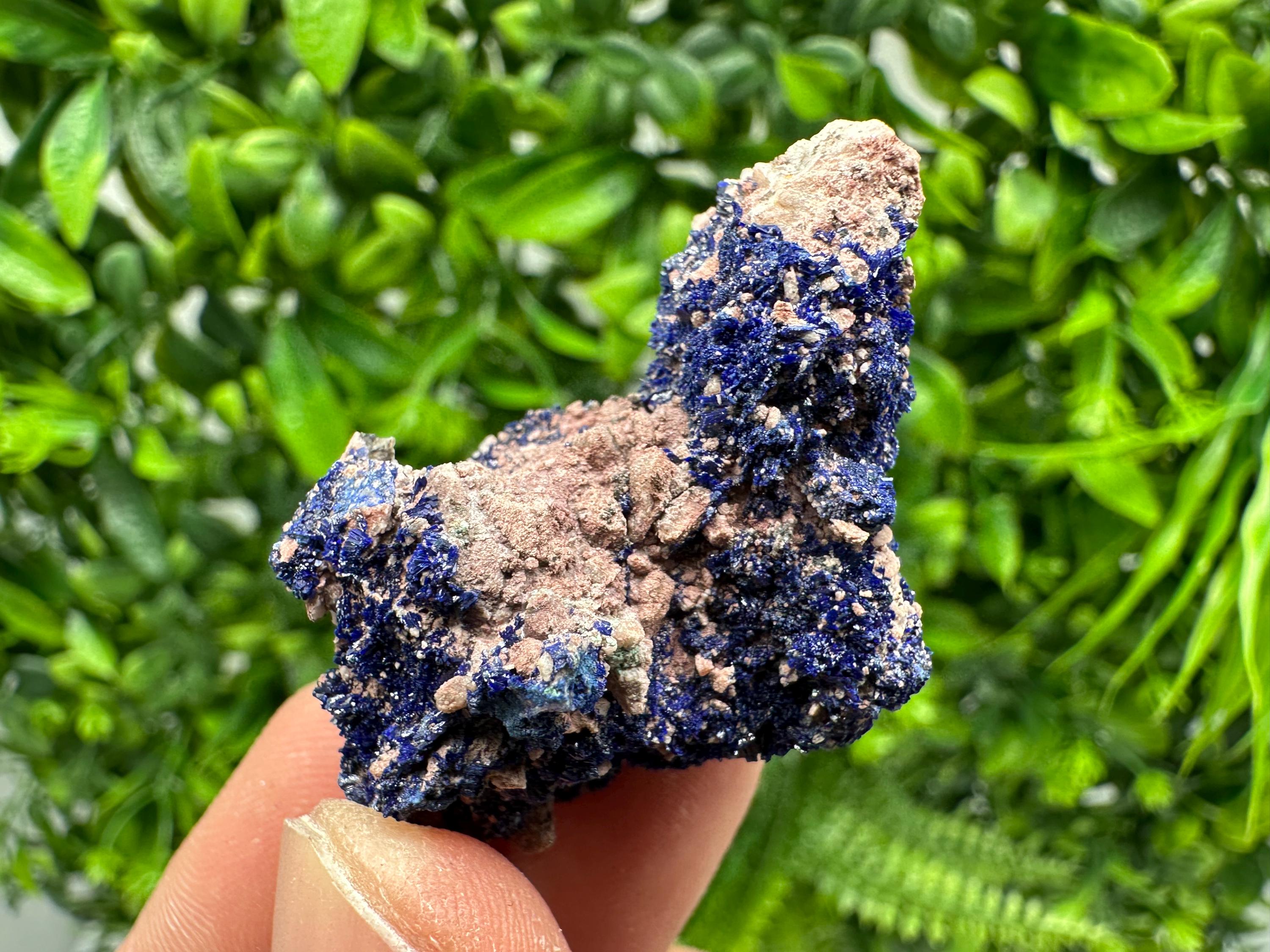 Crystallized Azurite-Kerrouchen,Morocco-Blue Azurite Specimen-High Quality Blue Azurite-Azurite Mineral Specimen, gemmy,lustrous of Azurite