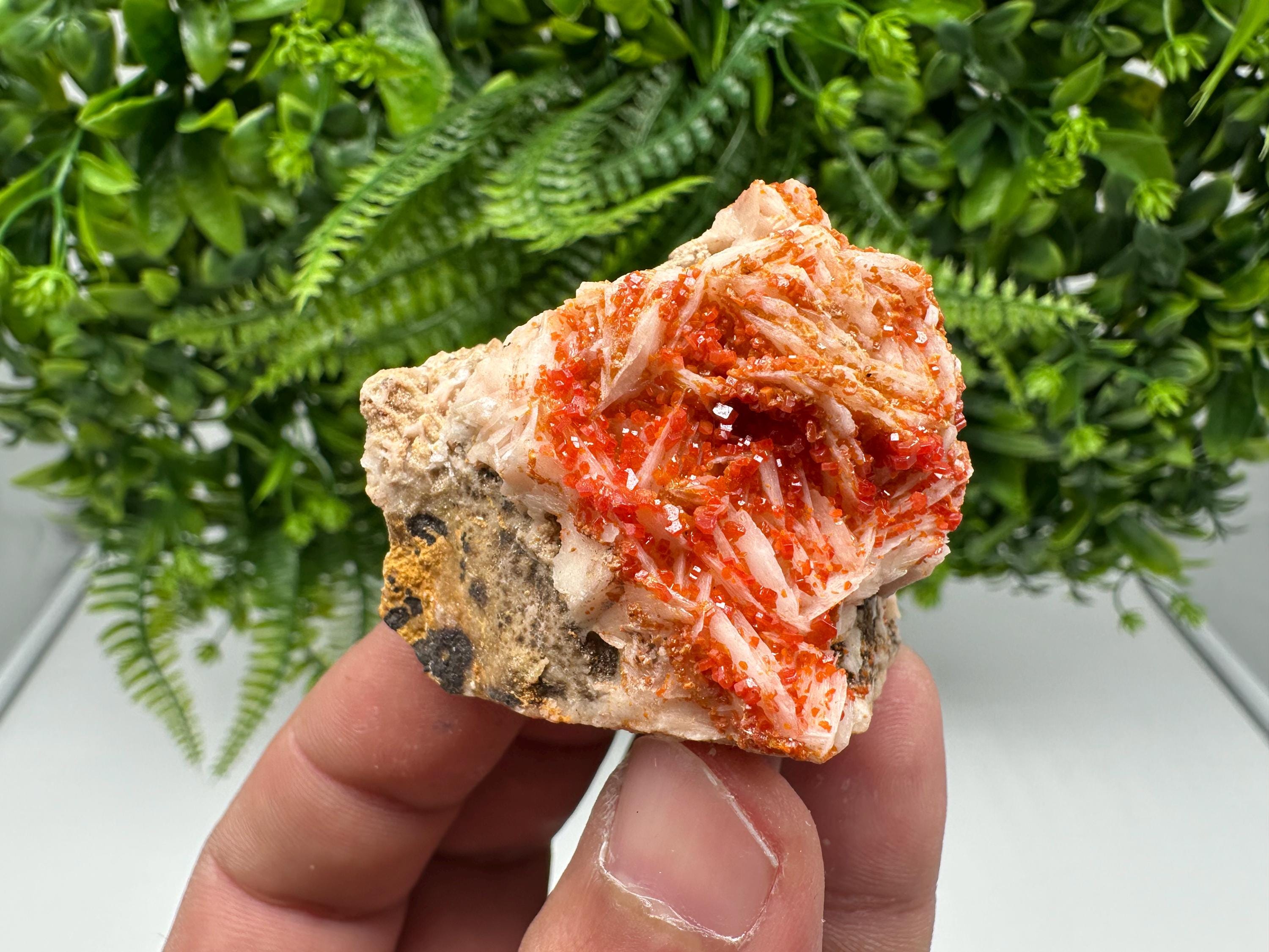 Red Vanadinite on Barite from Marocco,crystal minerals Speciment cluster Vanadinite crystal Vanadinite Geology Vanadinite cluster minerals