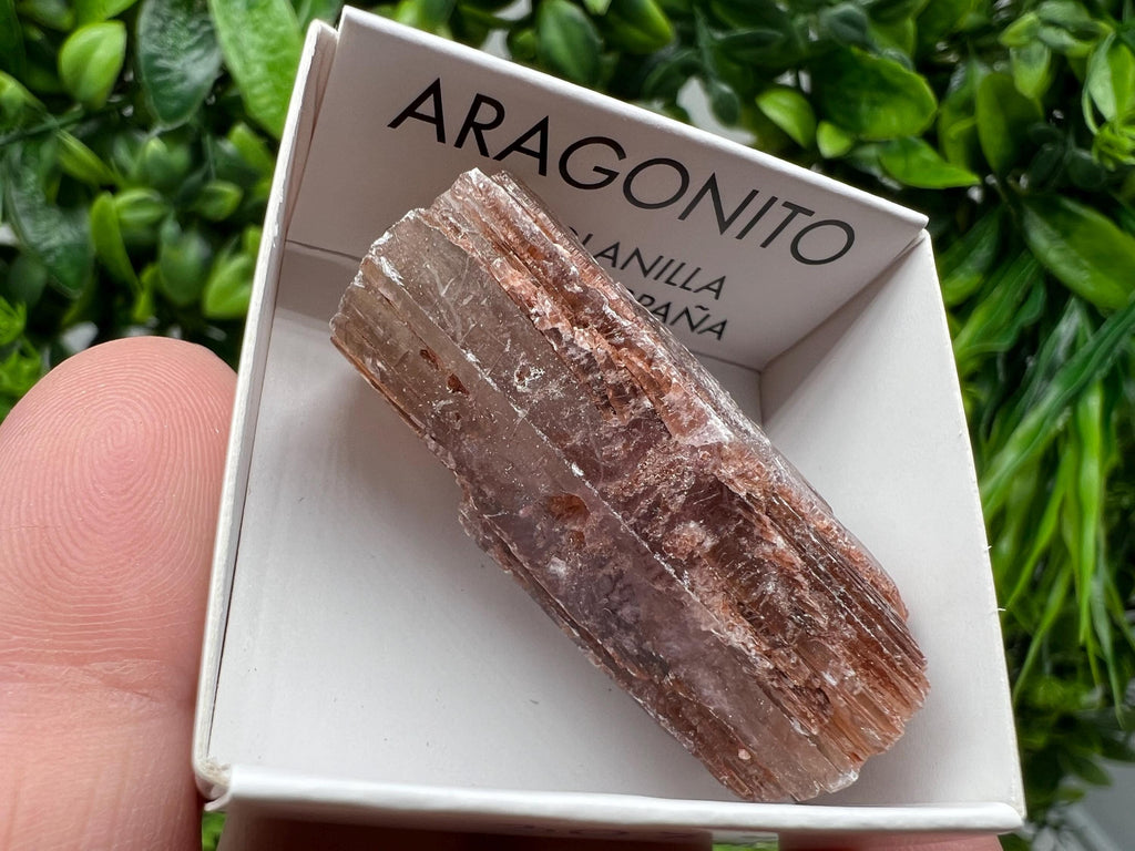 Amazing Aragonite from Spain,Aragonite crystal,cluster,natural,mineral,specimen,Purple Aragonite,Spanish Aragonite,Mineralcollection