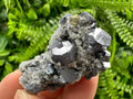Galena Chalcopyrite on Quartz, Crystal Home Decor, Borieva Mine Bulgaria