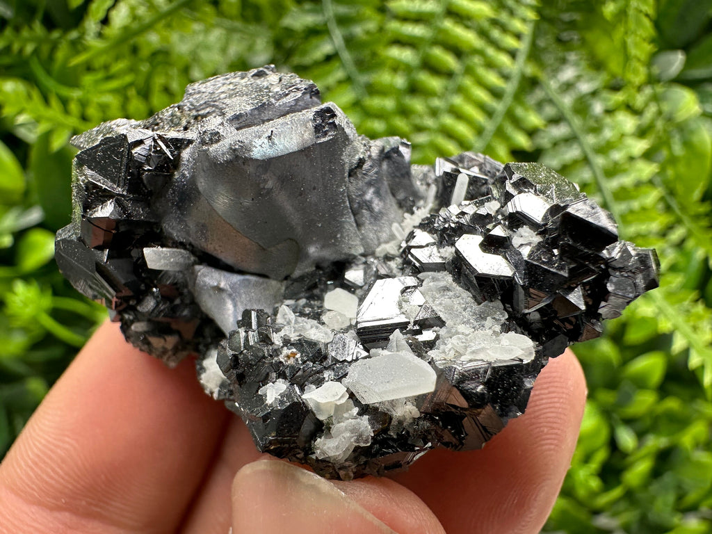 Mirror Galena on Sphalerite with Quartz, Borieva Mine Mineral Specimen
