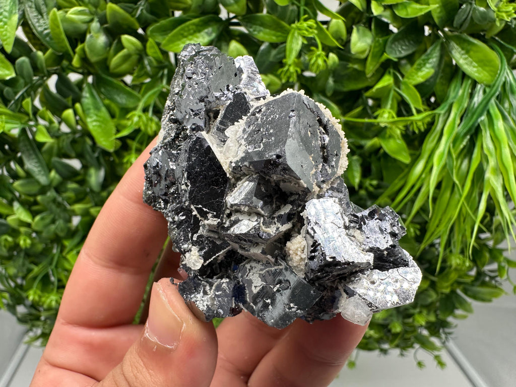 Rare Mirror Galena Cubes: Marzyan Mine, Bulgaria