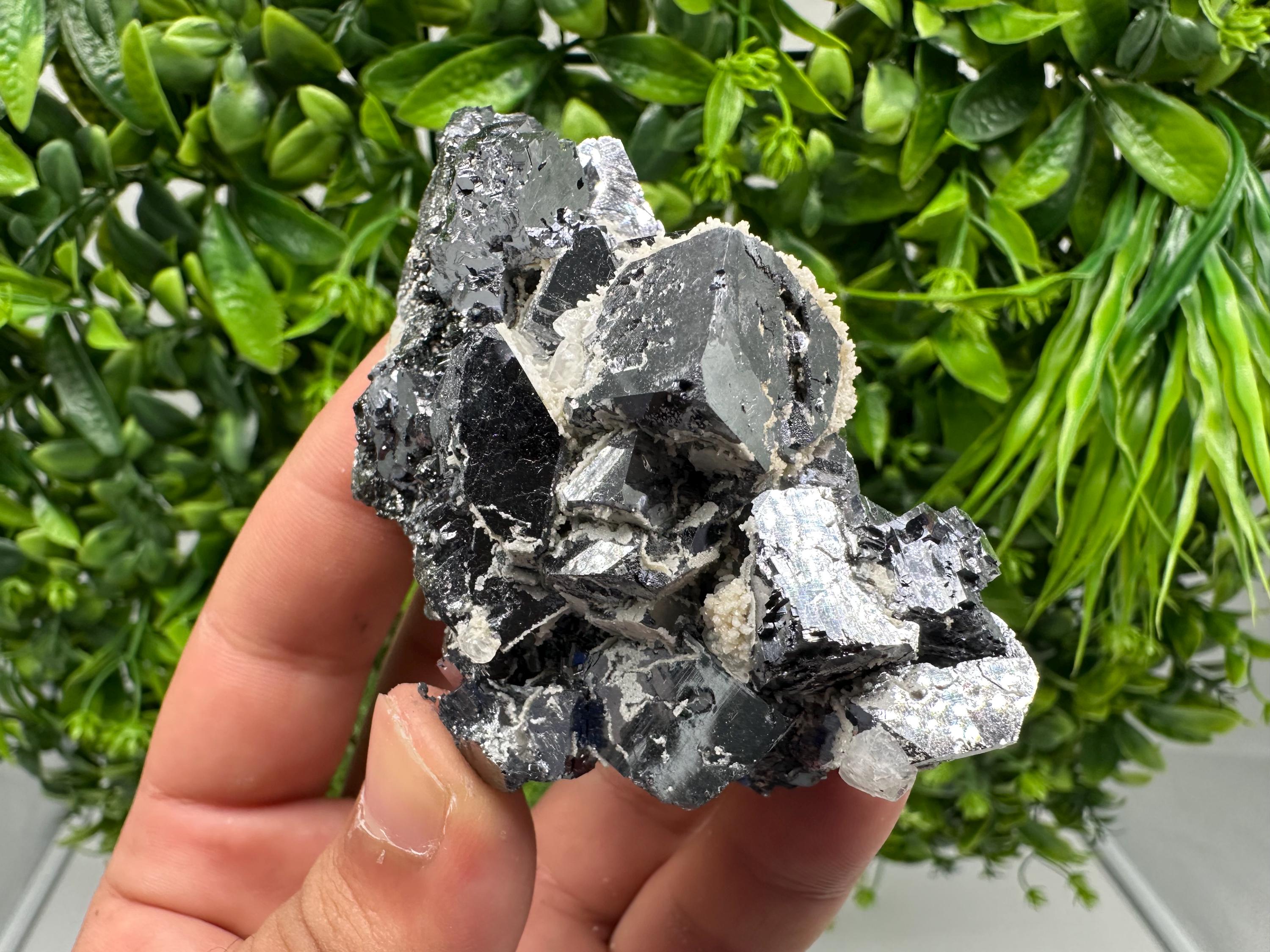 Rare Mirror Galena Cubes: Marzyan Mine, Bulgaria