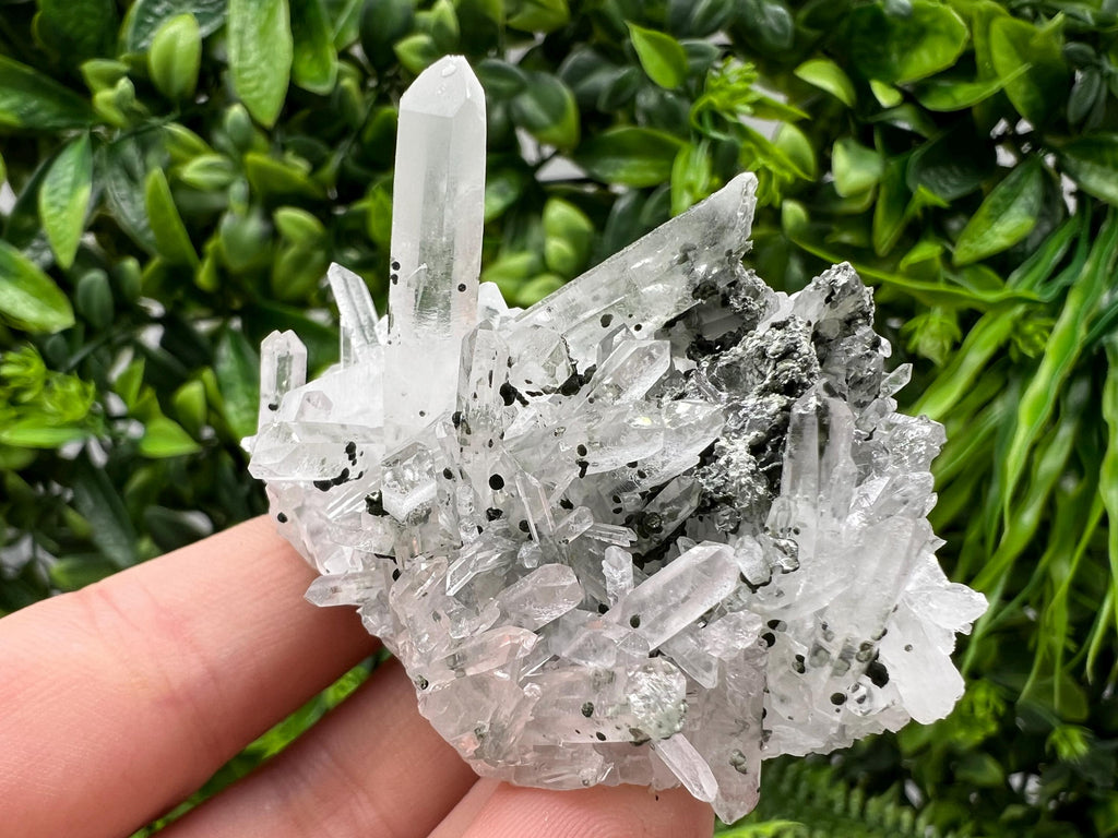 Stunning Transparent Quartz,from Borieva mine,natural collection mineral specimen rare crystal,home decor crystal,quartz cluster,Quartz,gift
