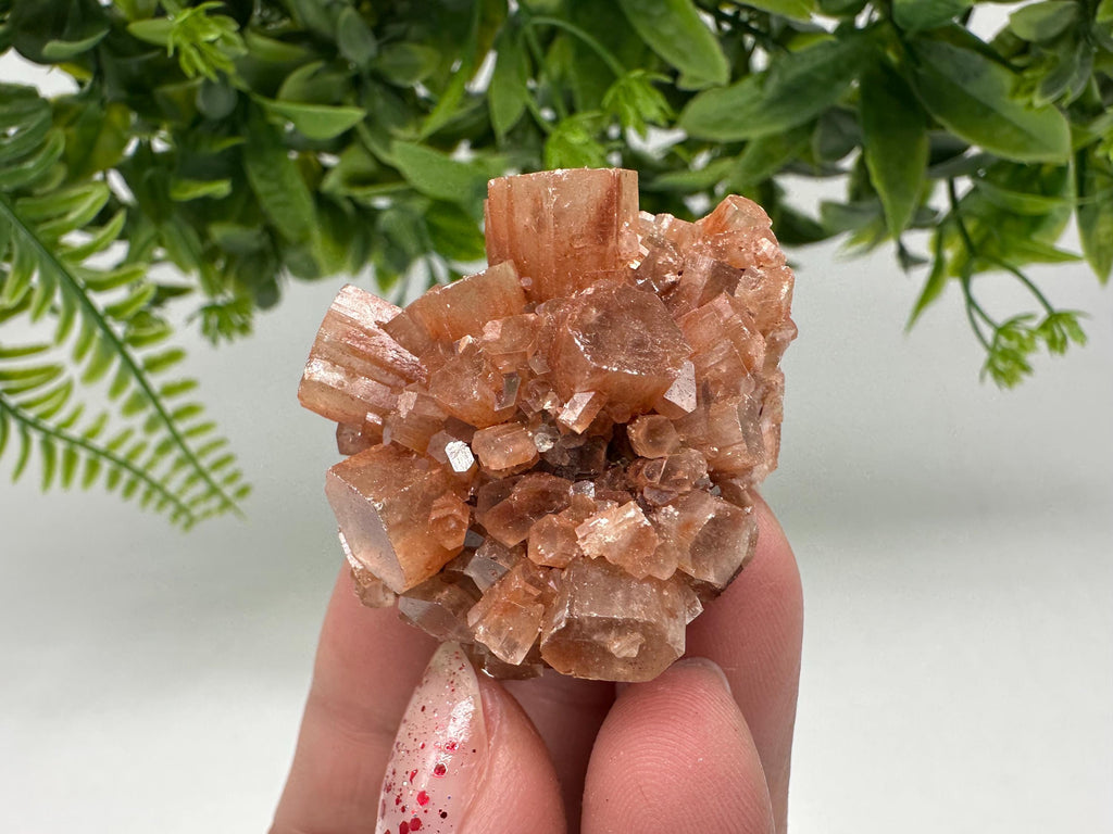 Aragonite Sputnik Cluster: Raw Moroccan Crystal Stone, Home Decor