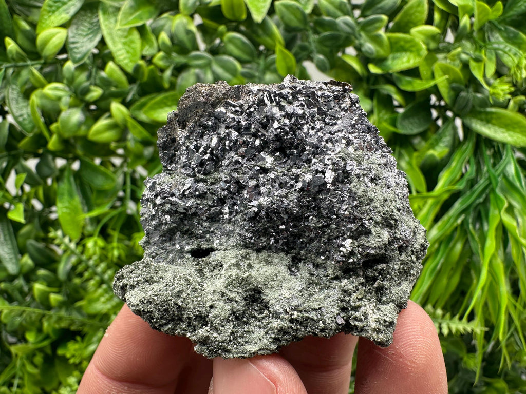 Skeletal Galena on Chlorite Matrix, Borieva Mine Mineral Specimen