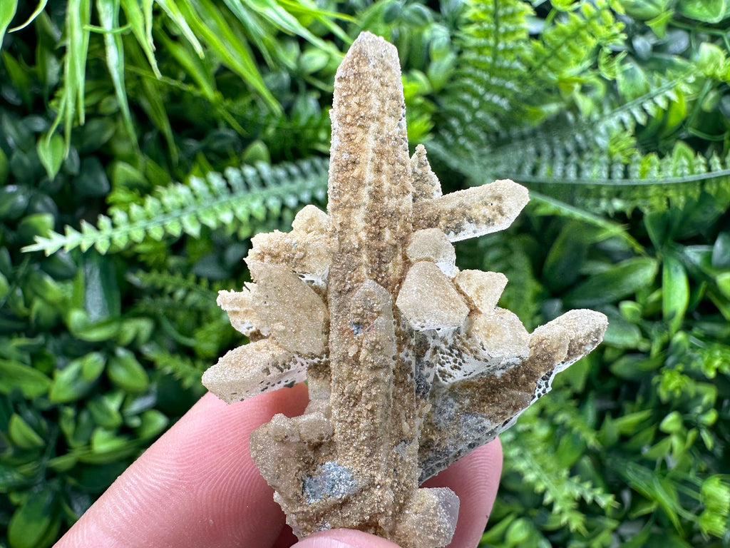 Quartz Rhodochrosite Cluster, Djurcovo Mine Mineral Specimen