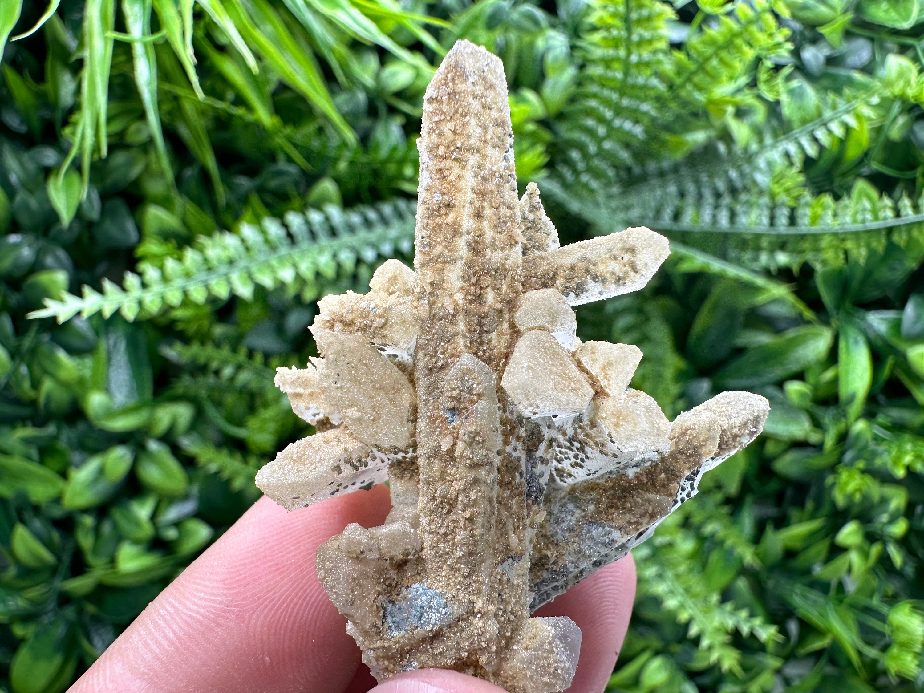 Quartz Rhodochrosite Cluster, Djurcovo Mine Mineral Specimen