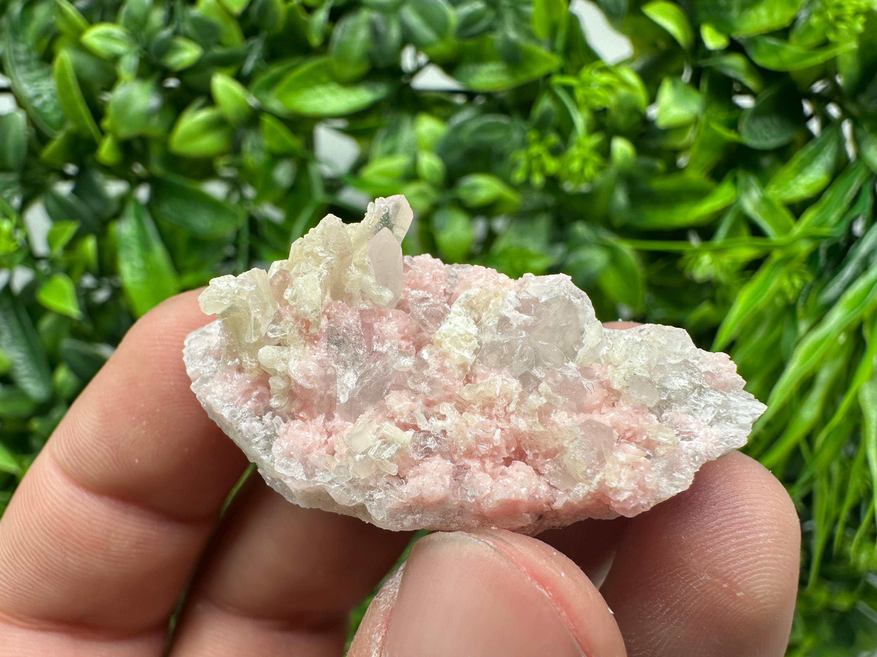 Rhodochrosite on Quartz, Starnica Mine, Bulgaria
