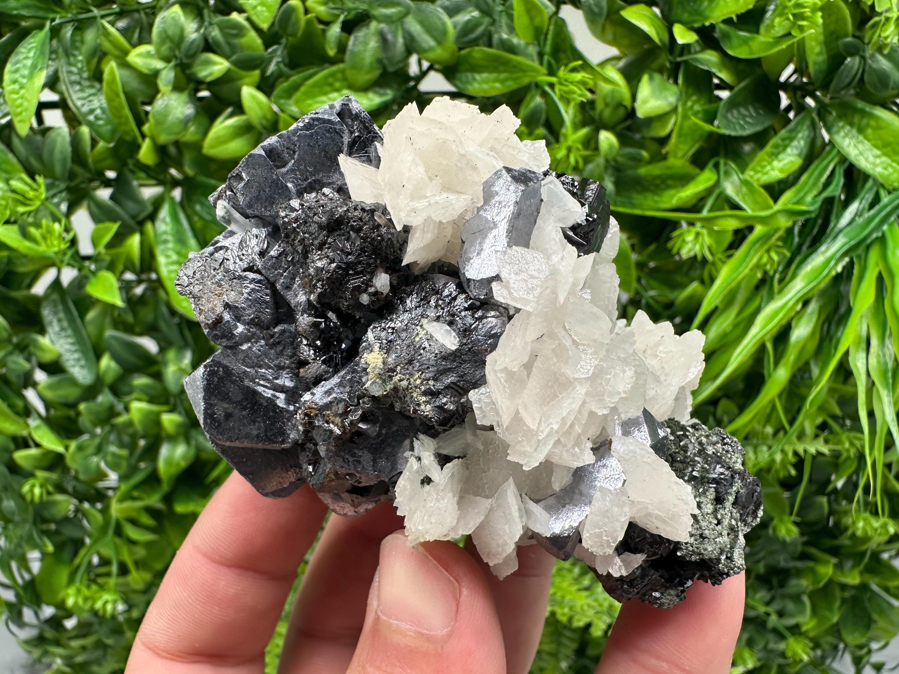 Mirror Galena, Sphalerite, Calcite Mineral Specimen: Borieva Mine, Bulgaria