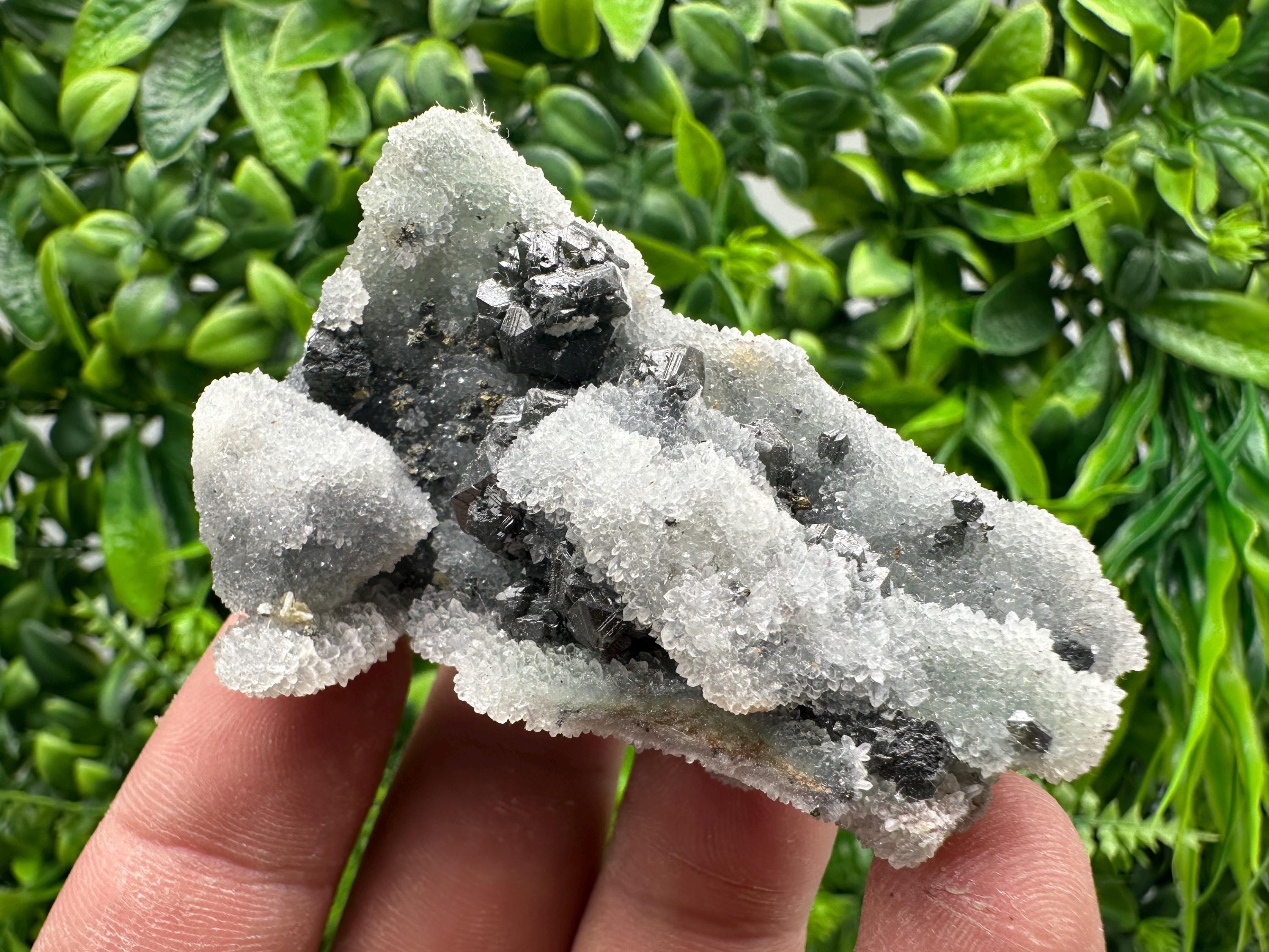 Sphalerite on Green Chalcedony, Krushev Dol Mineral Specimen