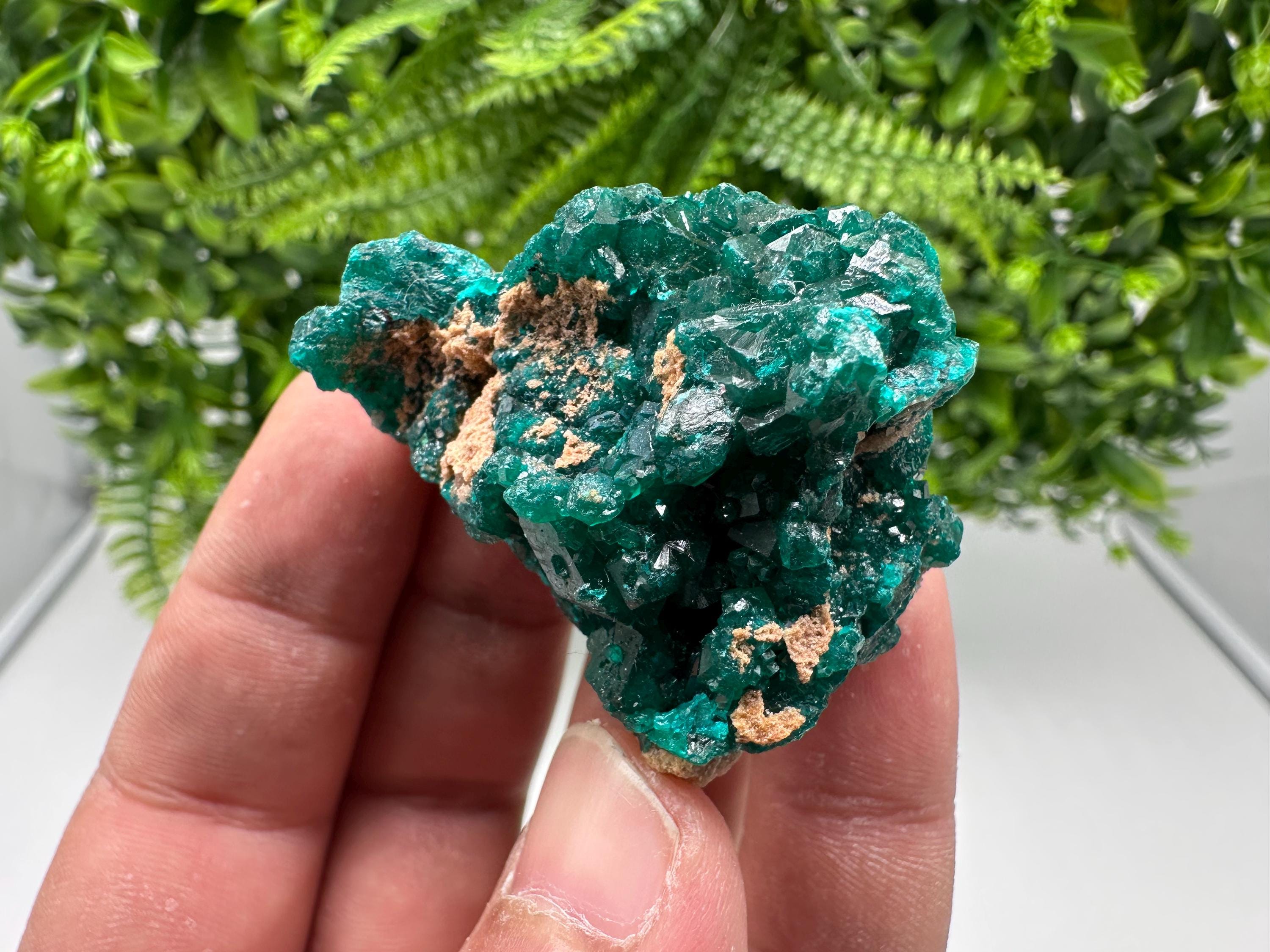 Stunning Green Dioptase from Sanda Hills,Mindouli,Pool Department,Mindouli District,Congo,green Dioptase,Dioptas Crystal,Dioptase collecting