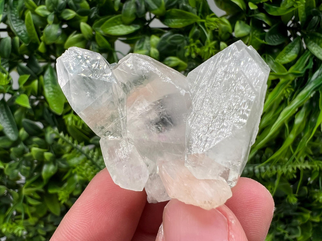 Transparent Apophyllite on Chalcedony, India Minerals Specimen