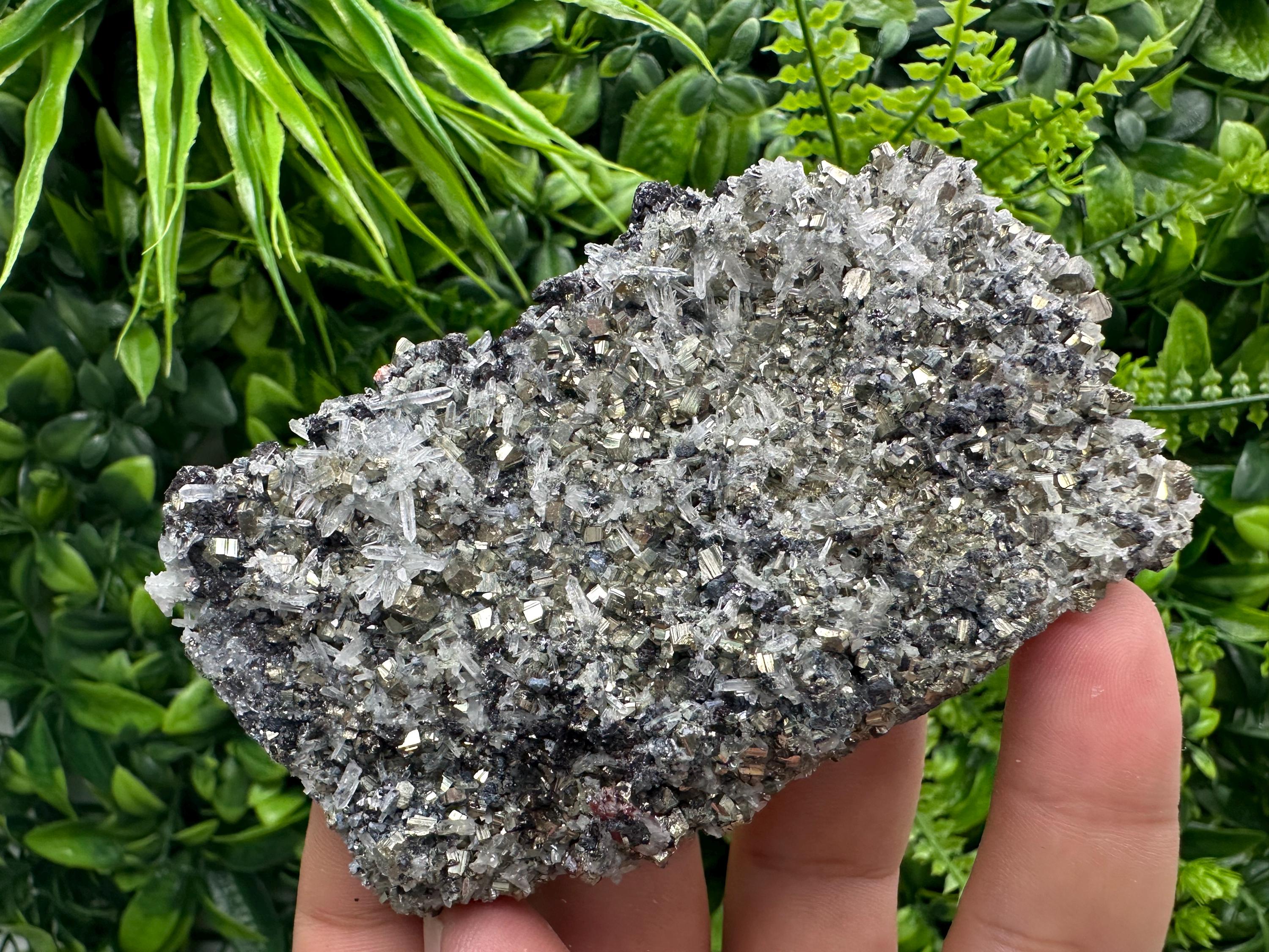 Galena Sphalerite Pyrite on Quartz, Borieva Mine, Bulgaria