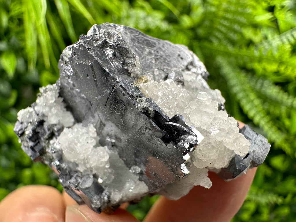 Galena with Calcite: Natural Mineral Specimen, Borieva Mine, Bulgaria