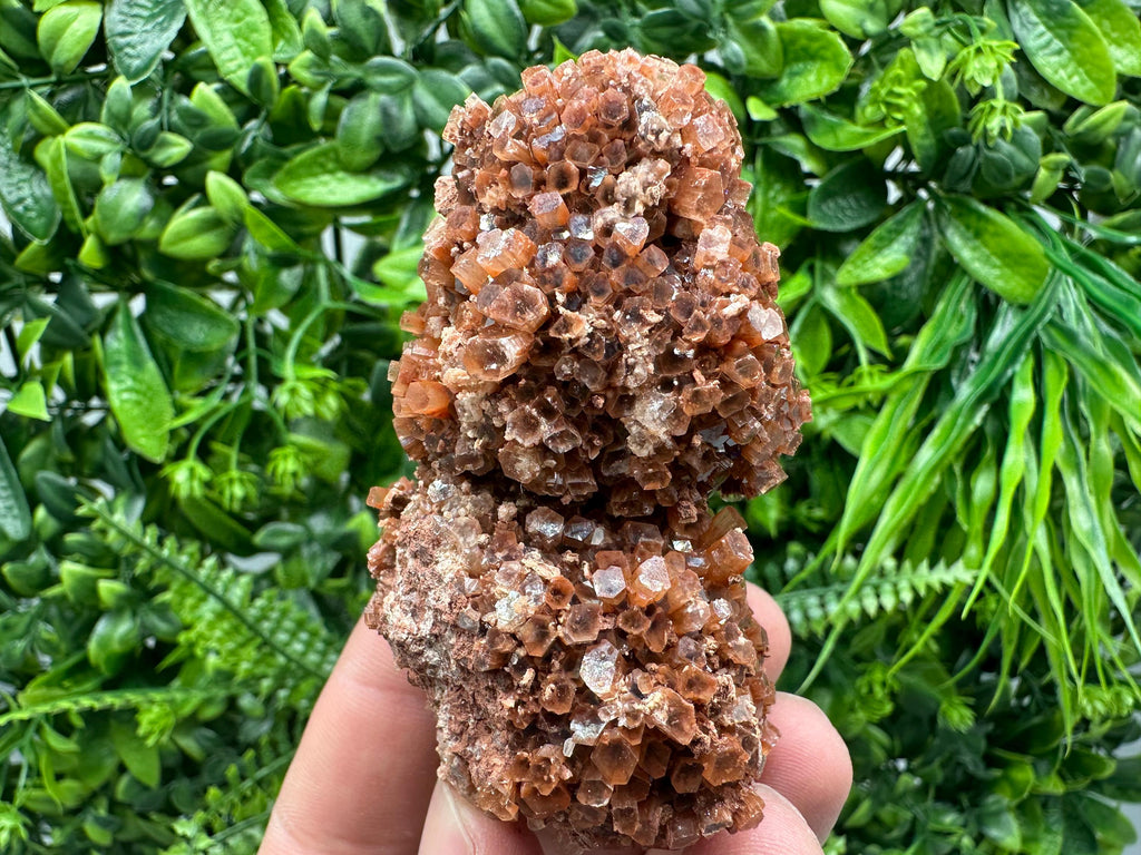 Large Aragonite Sputnik Cluster: Moroccan Raw Crystal Stone Decor