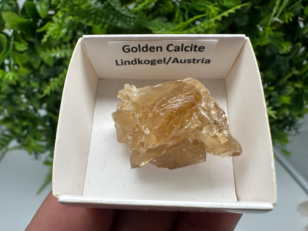 Raw Honey Calcite Crystal: Rough Golden Stone (3.5/2.5 cm)