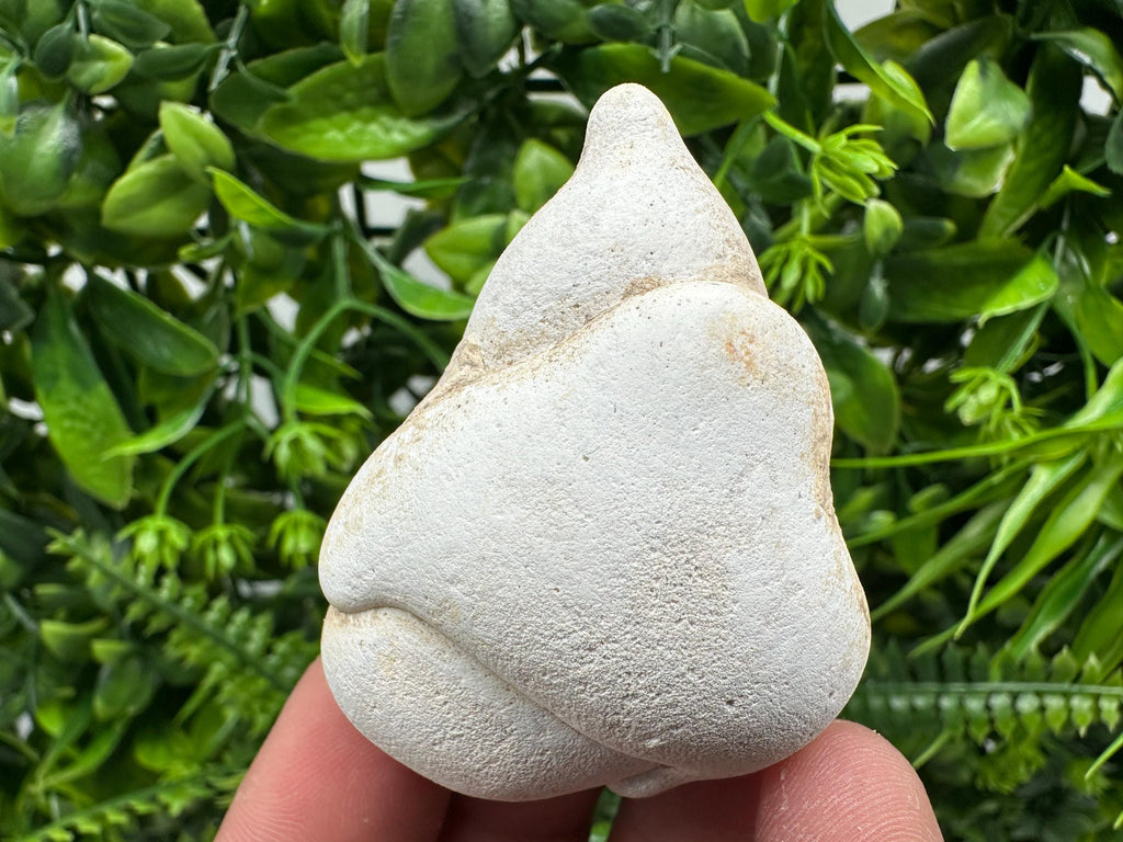 Menalite Crystal: White Fairy Stone, Moroccan A+ Grade