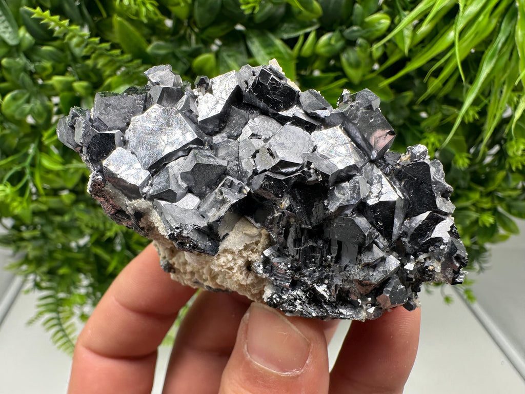 Mirror Galena from Krushev dol mine,Madan,Bulgaria