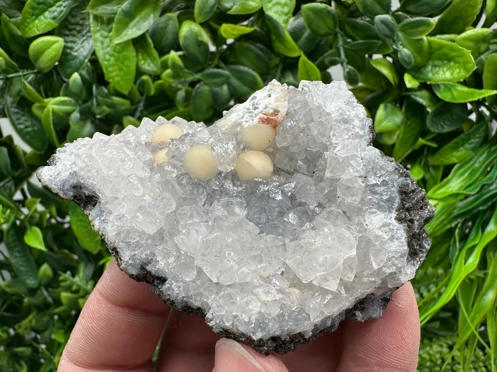 Transparent Apophyllite on Chalcedony, India Mineral Specimen