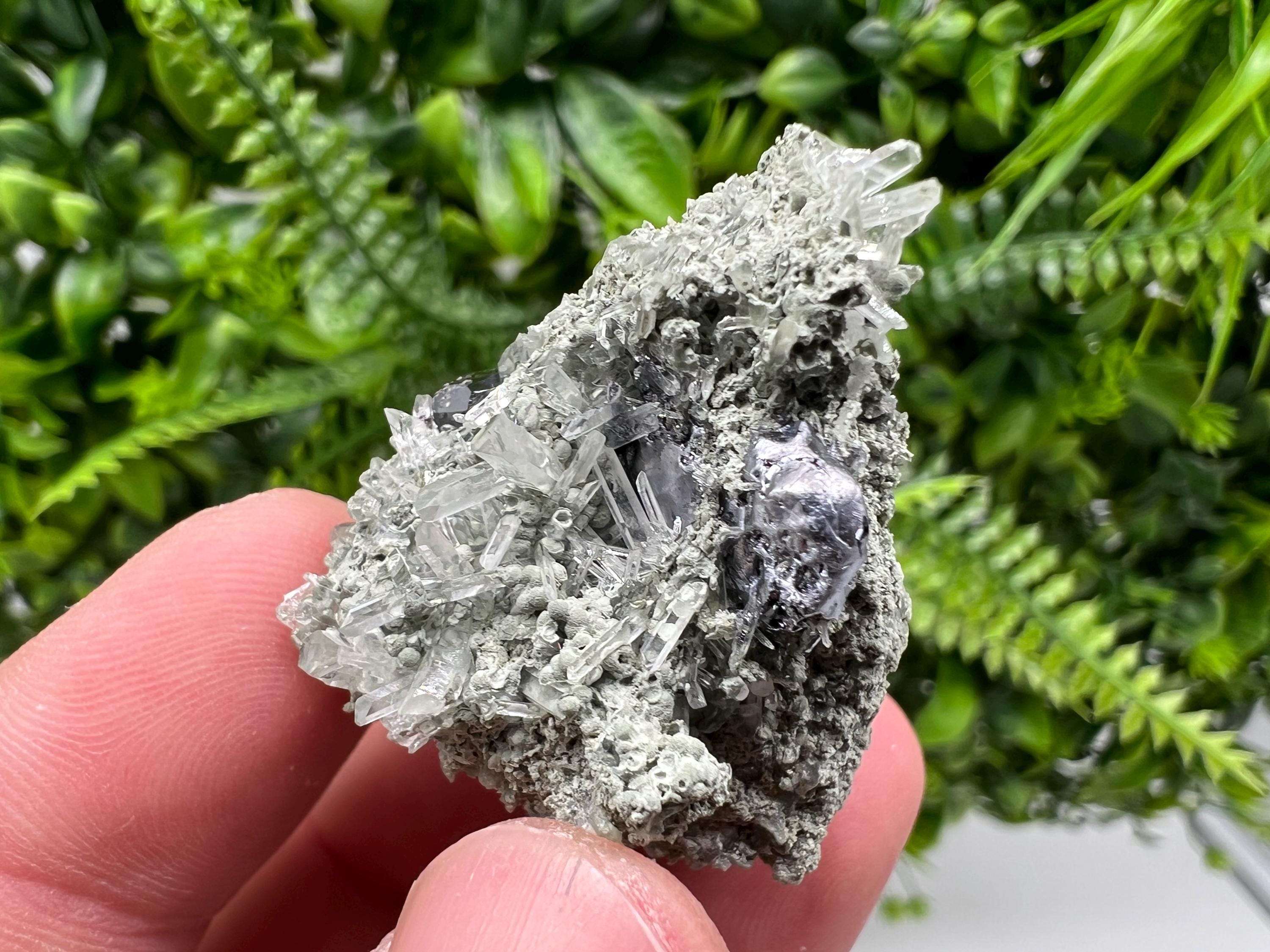 Sphalerite with Chlorite Crystal, Borieva Mine, Bulgaria