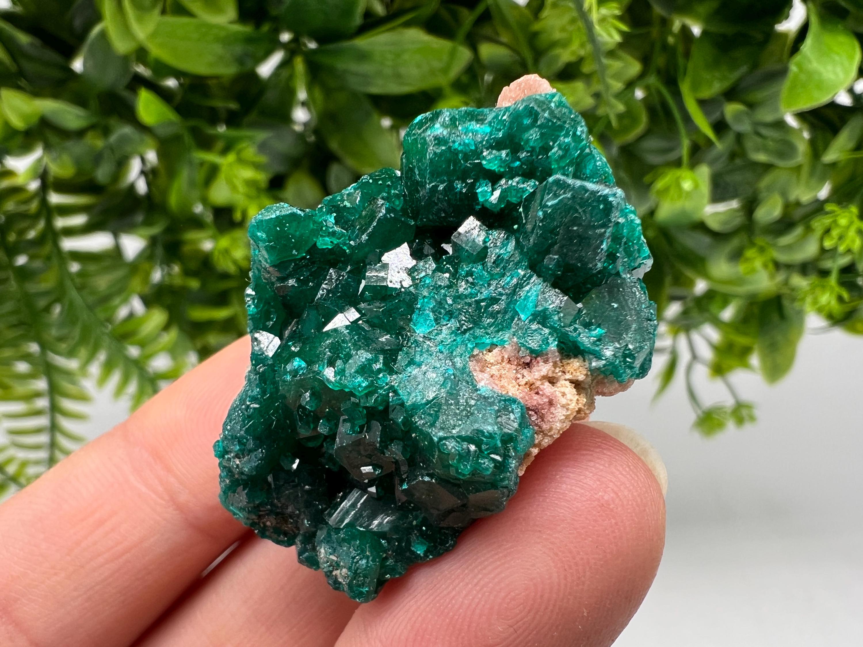 Stunning Green Dioptase from Sanda Hills,Mindouli,Pool Department,Mindouli District,Congo,green Dioptase,Dioptas Crystal,Dioptase collecting