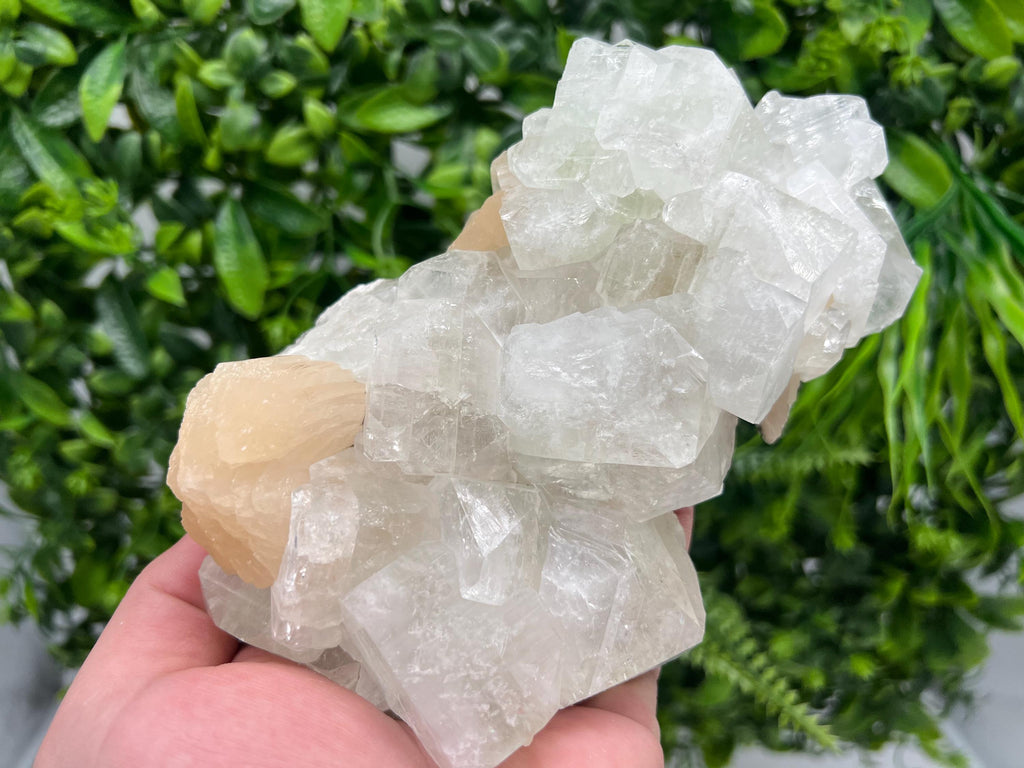 EXSTA Large Apophyllite,Stilbite on Chalcedony,natural,collection mineral specimen,India Mineral,Crystal,Stone Mineral Specimen IndiaCrystal
