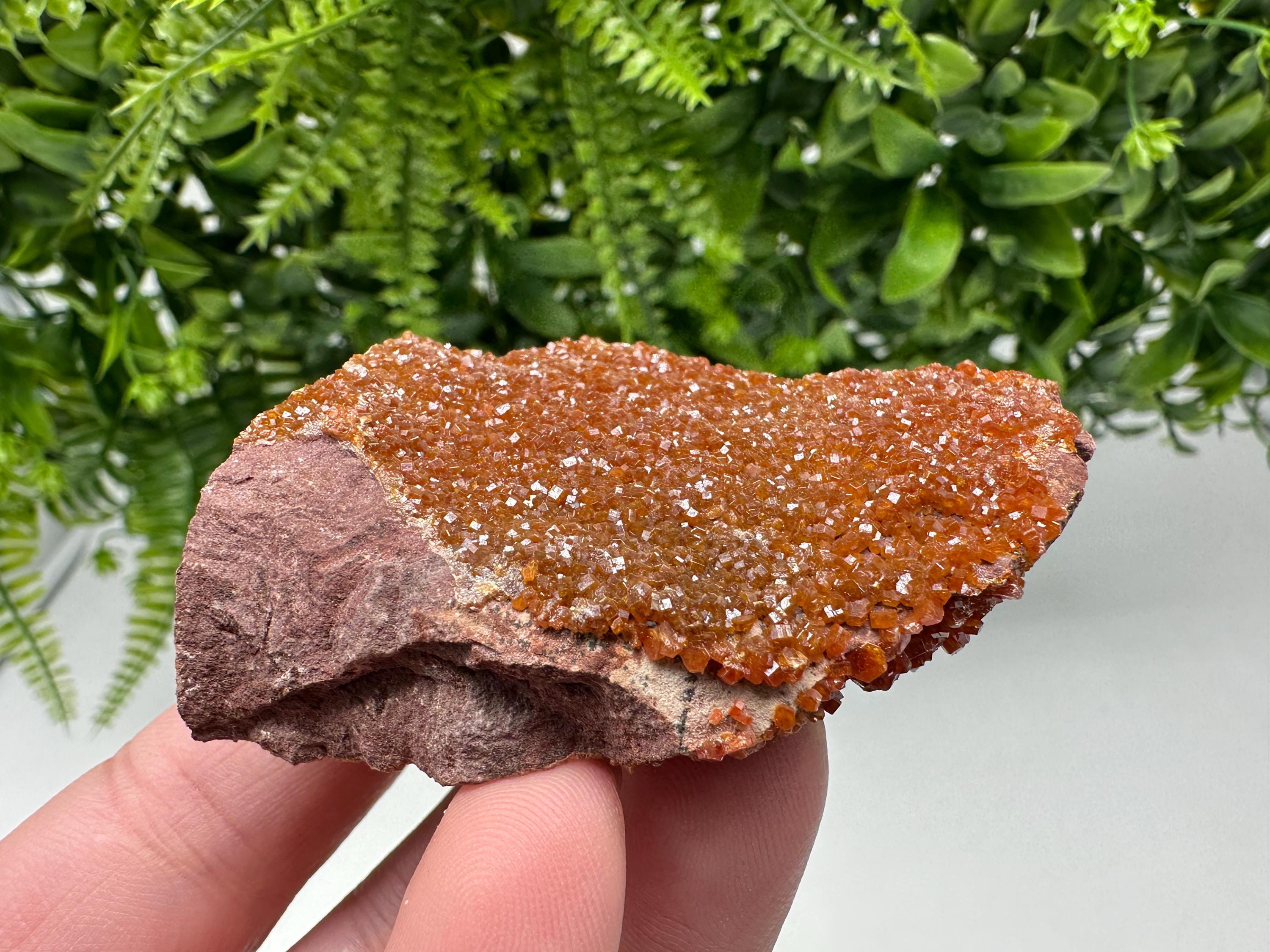 Red Vanadinite on Matrix from Marocco,crystal minerals Speciment cluster Vanadinite crystal Vanadinite Geology Vanadinite cluster minerals