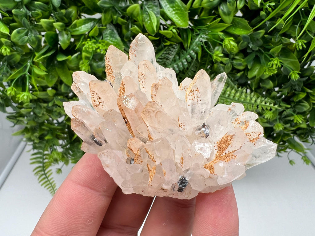 Stunning Quartz covered whit iron oxide limonite natural minerals souvenir crystal home decor stone collection minerals 9 th September mine