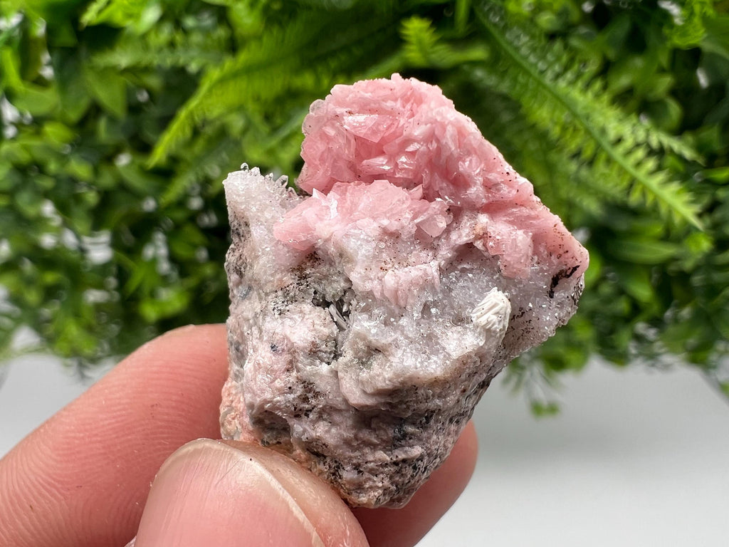 Rhodochrosite on Quartz: Pink Mineral Specimen, Starnica Mine, Bulgaria