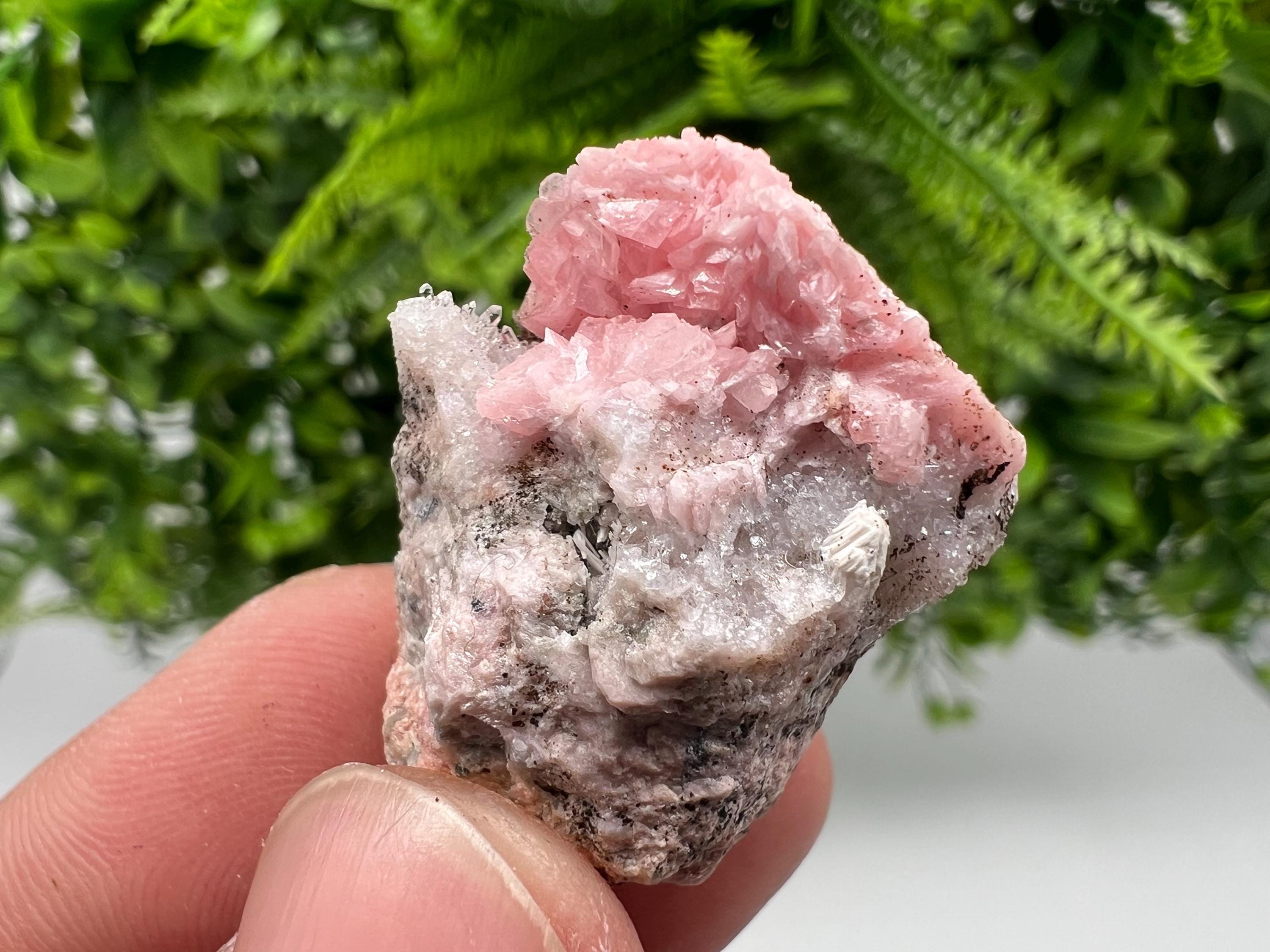 Rhodochrosite on Quartz: Pink Mineral Specimen, Starnica Mine, Bulgaria