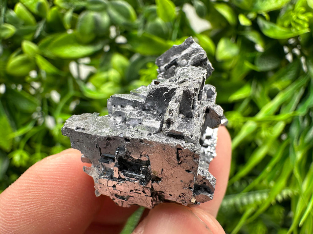 Skeletal Galena on Sphalerite Crystal Mineral Specimen