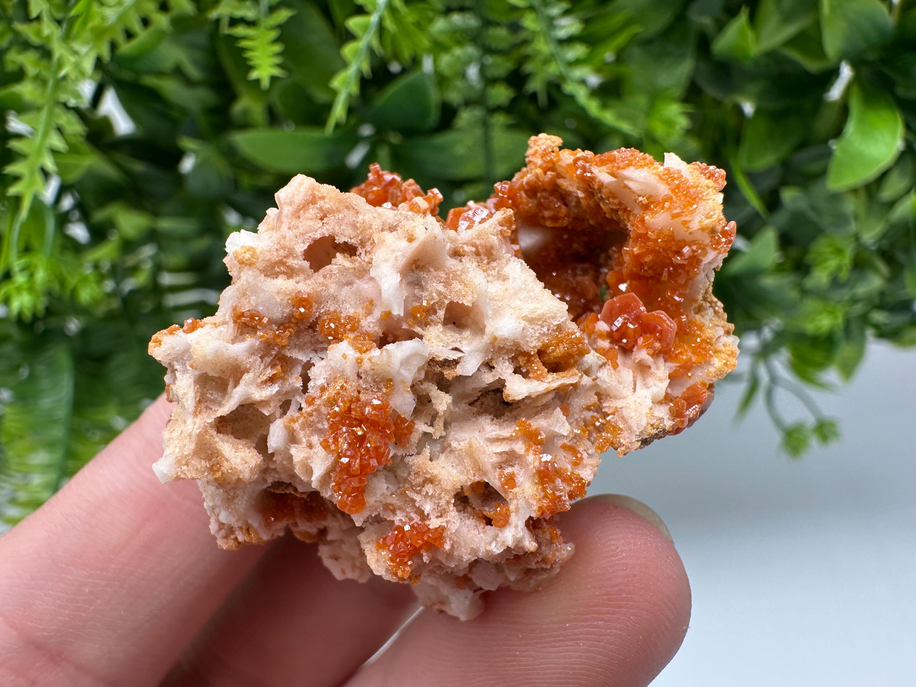 Red Vanadinite on Barite from Marocco,crystal minerals Speciment cluster Vanadinite crystal Vanadinite Geology Vanadinite cluster minerals