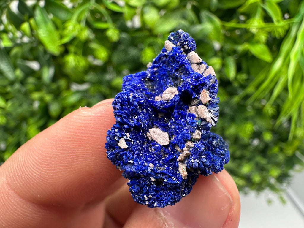 Crystallized Azurite-Kerrouchen,Morocco-Blue Azurite Specimen-High Quality Blue Azurite-Azurite Mineral Specimen, gemmy,lustrous of Azurite