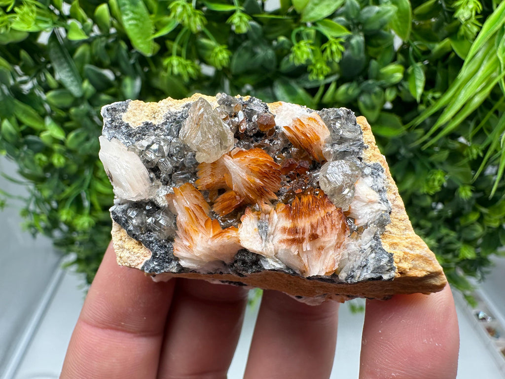 Wonderful Baryte with Cerussite on Galena from Morocco,Crystal, Mineral,Specimen,Cluster,Crystals,Barite Crystal,Cerussite Crystal,Specimen