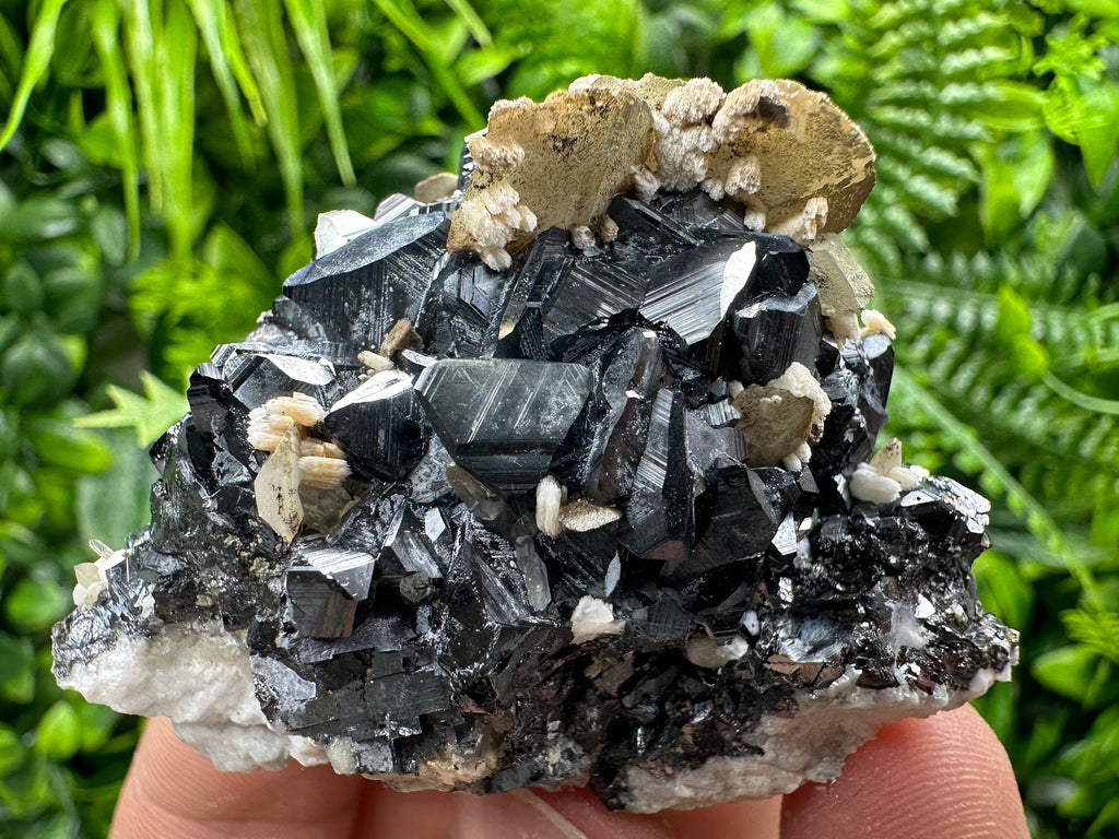 Calcite with Chlorite on Sphalerite, Borieva Mine Mineral Specimen