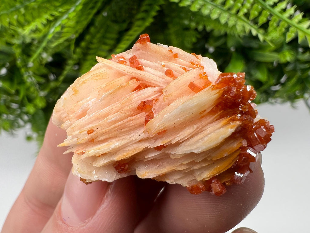 Red Vanadinite on Barite, Morocco Crystal Specimen