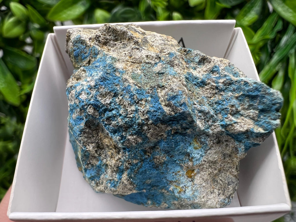 Rare Raw Aerinite Mineral Specimen: Lleida, Spain Crystal (4/3.5cm
