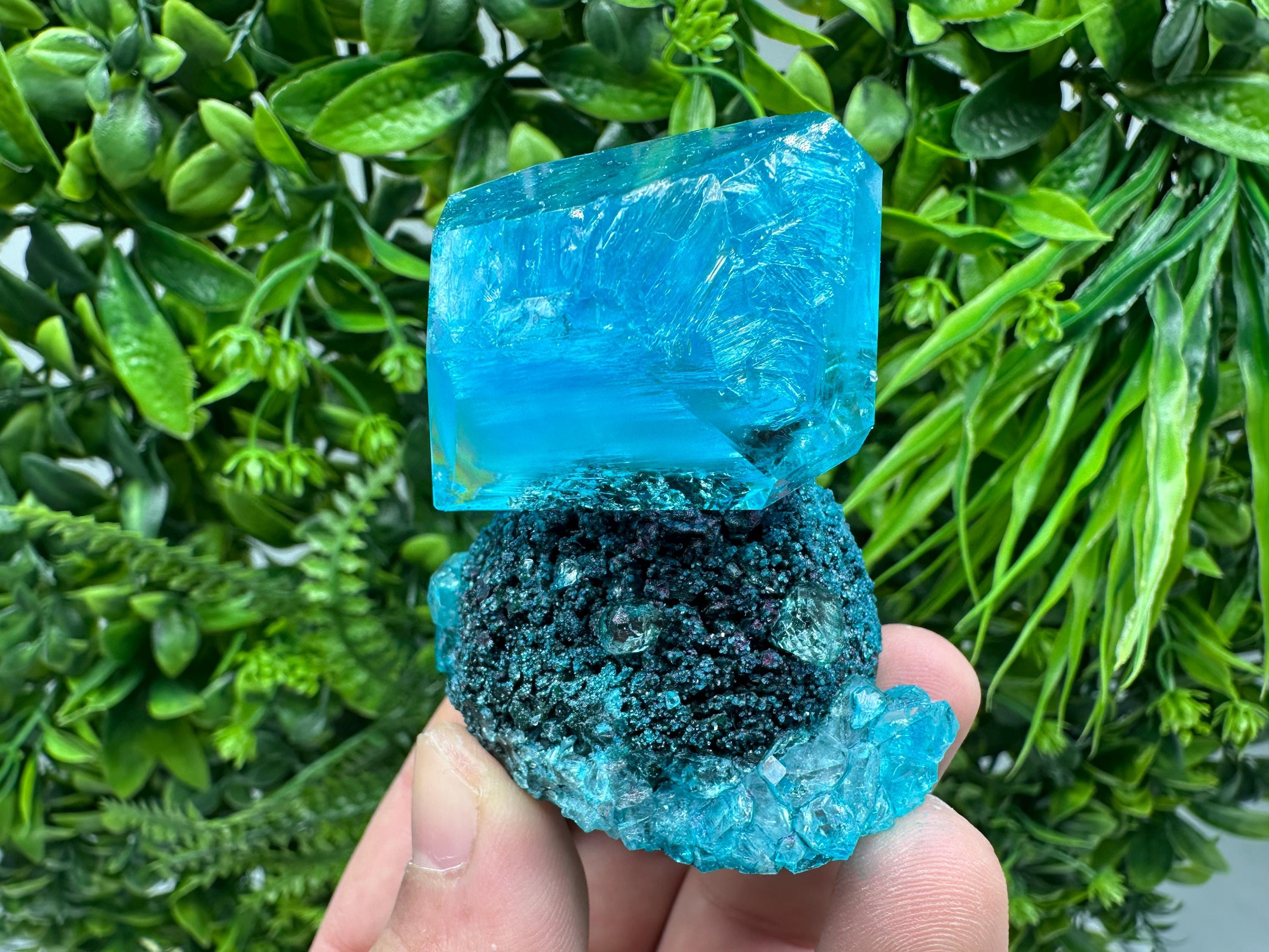 Exceptional Turquoise ALUNITE Aqua Crystal on Matrix UV Active, lab minerals