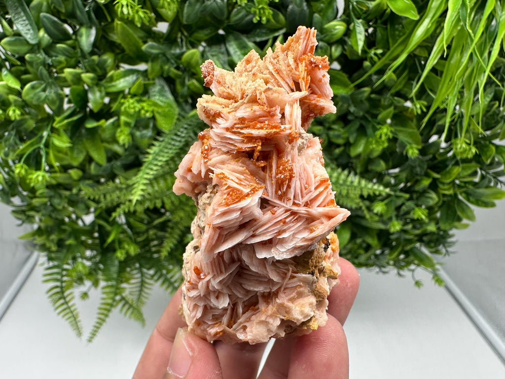 Red Vanadinite on Barite from Marocco,crystal minerals Speciment cluster Vanadinite crystal Vanadinite Geology Vanadinite cluster minerals