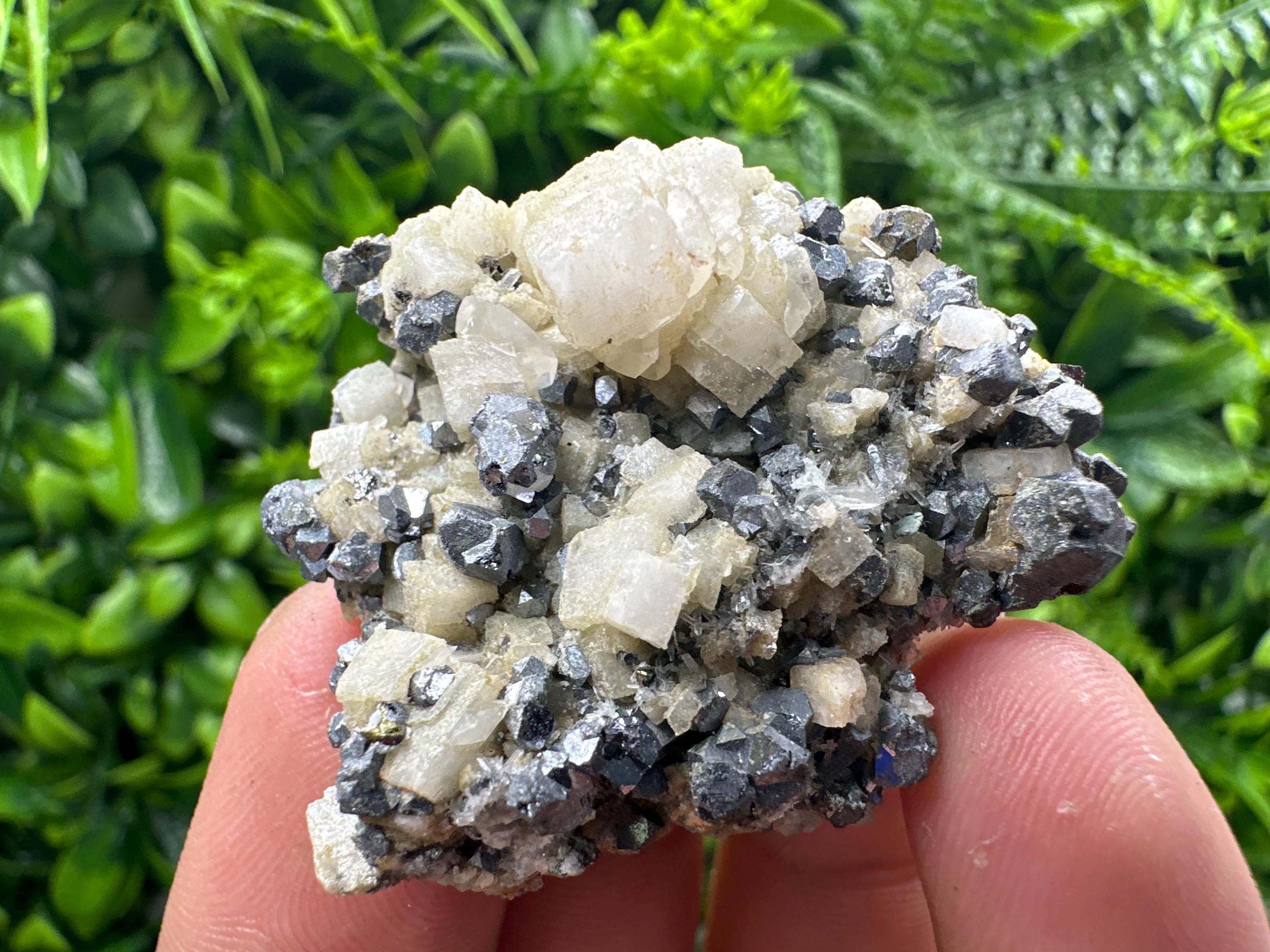 Galena Chalcopyrite on Calcite, Borieva Mine, Bulgaria
